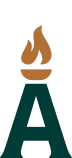 loader image